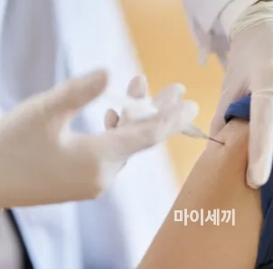 독감예방주사