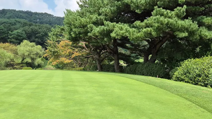용인 '코리아 컨트리클럽' (코리아CC) 소개 및 예약방법