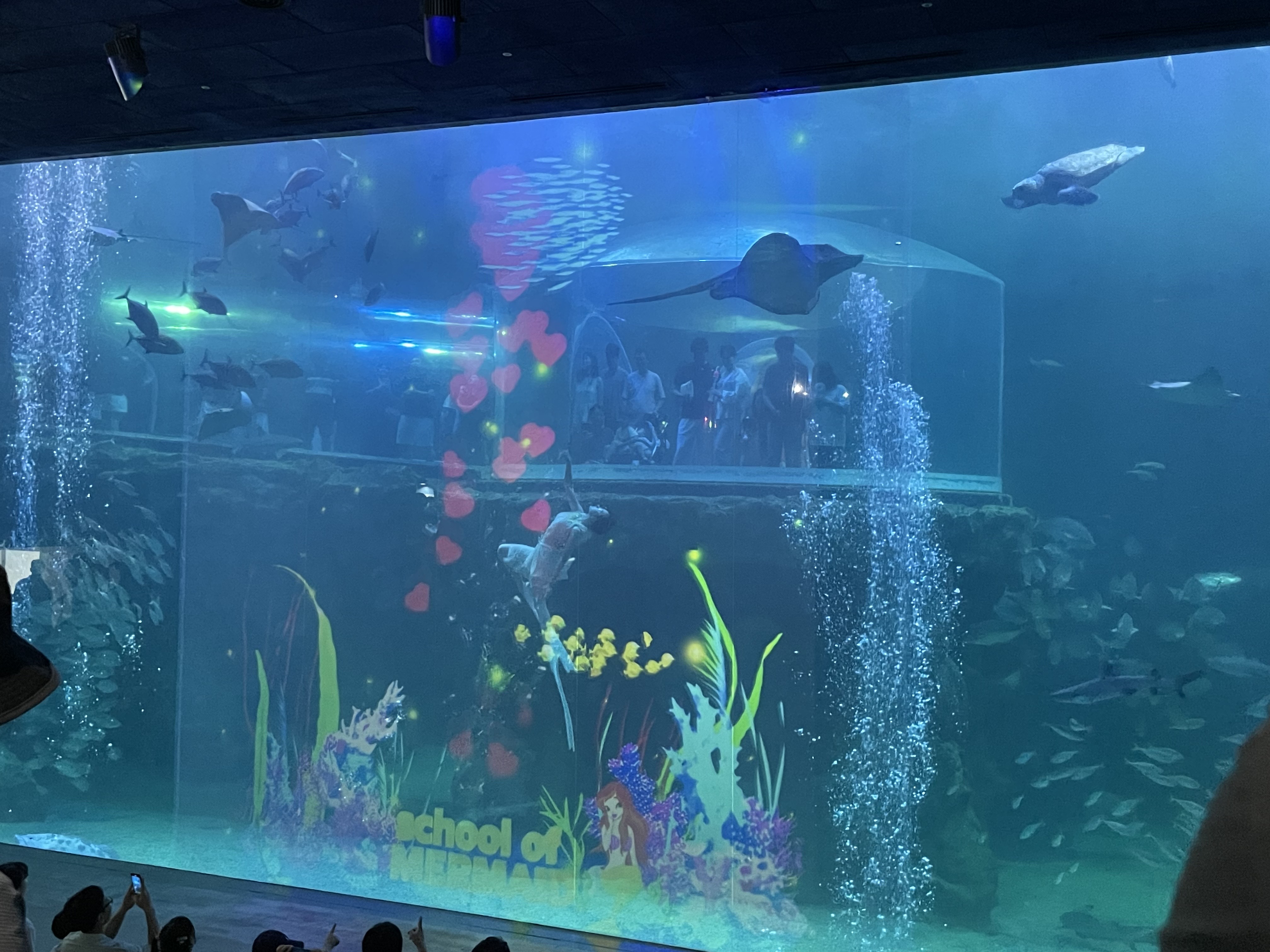 여수 아쿠아플라넷