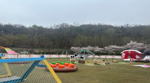 여기저기 서울형 키즈카페: 와글와글 동물농장