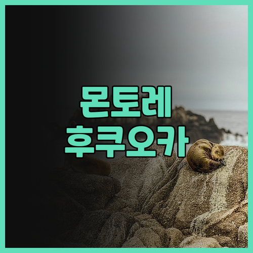 호텔 몬토레 후쿠오카, 넓고 쾌적한 