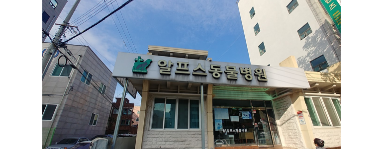 대구 남구 동물병원