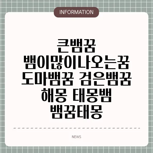 큰뱀꿈 뱀이많이나오는꿈 도마뱀꿈 검은뱀꿈 해몽 태몽뱀 뱀꿈태몽