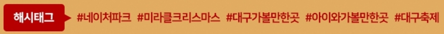 대구/네이처파크/미라클/크리스마스