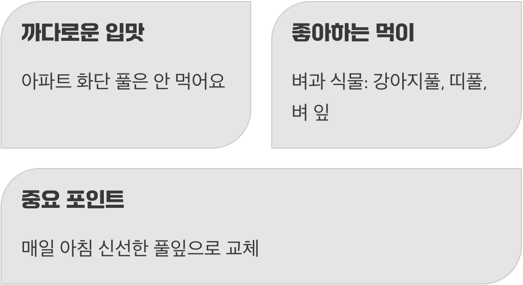 아무 풀이나 먹지 않아요