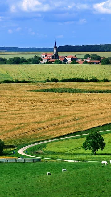 블록체인과 농업: 투명한 도시형 식품 공급망 구축