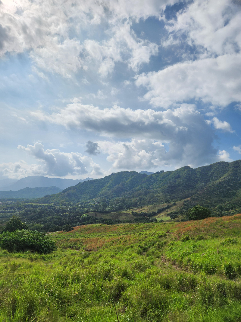 하와이 쿠알로아 랜치 익스피리언스 패키지 정글투어