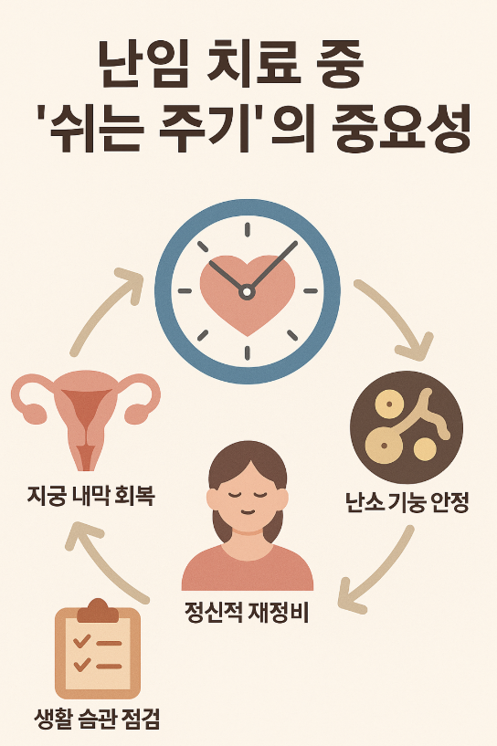 난임 치료 중 '쉬는 주기'의 중요성과 전략적 활용