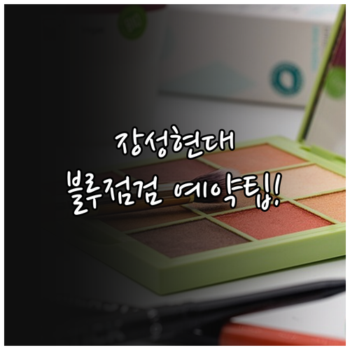 장성군 현대자동차 서비스센터 블루점검..