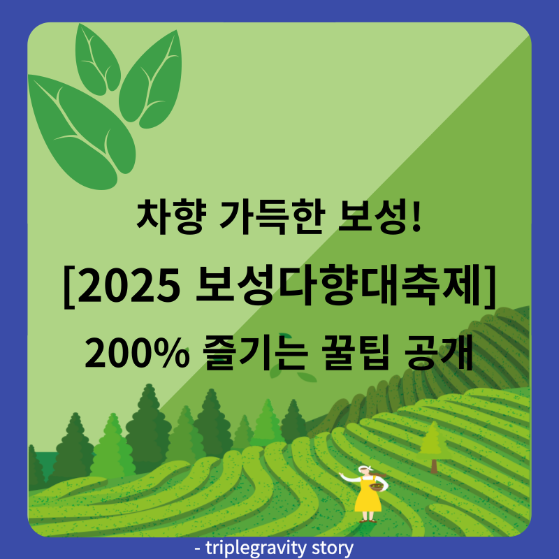 차향 가득한 보성! 2025 보성다향대축제 200% 즐기는 꿀팁 공개 썸네일 이미지