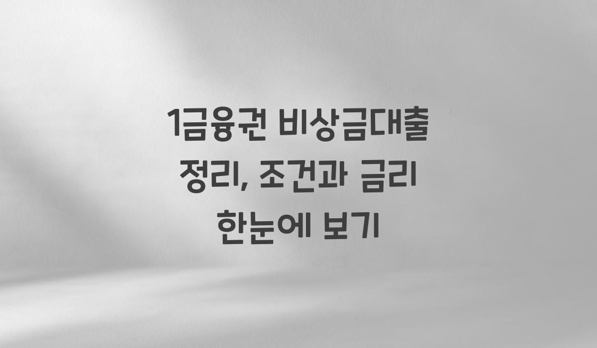 1금융권 비상금대출 정리