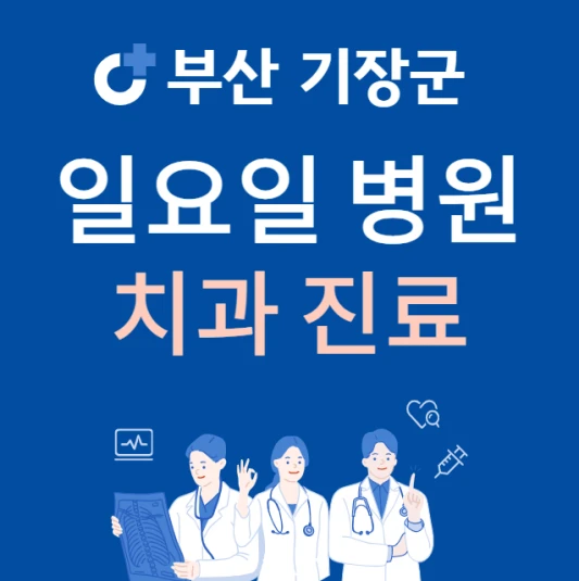 부산-기장군-일요일-치과-진료하는곳-주말에-문여는-기장군-24시간-치과-찾기
