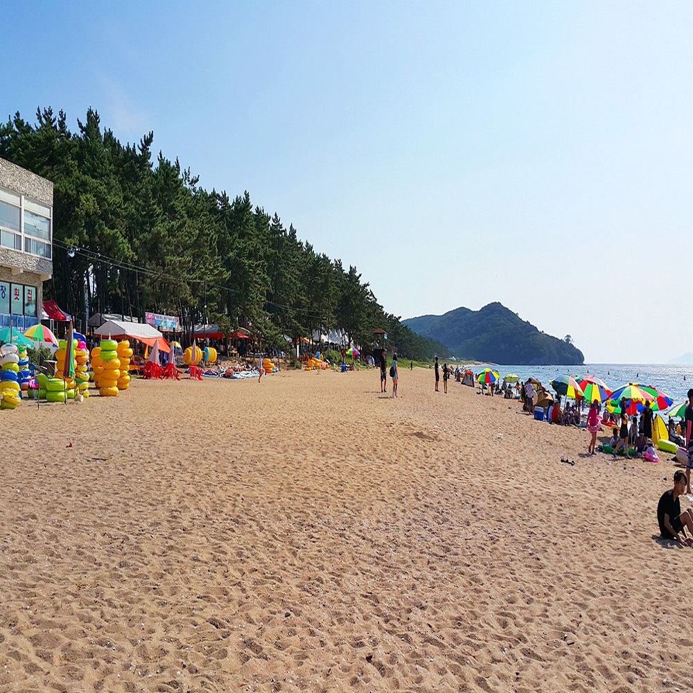 고사포 해수욕장 바로가기