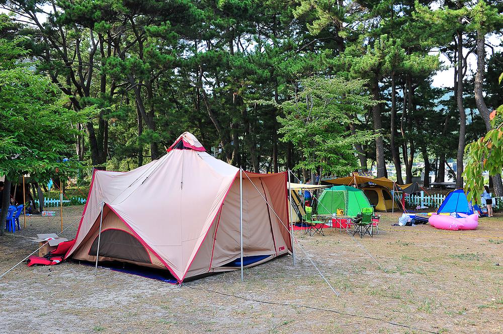 경상남도 남해군 송정솔바람야영장