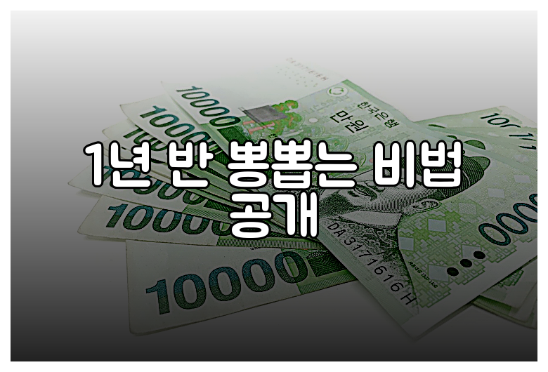 1년 반 뽕뽑는 비법 공개