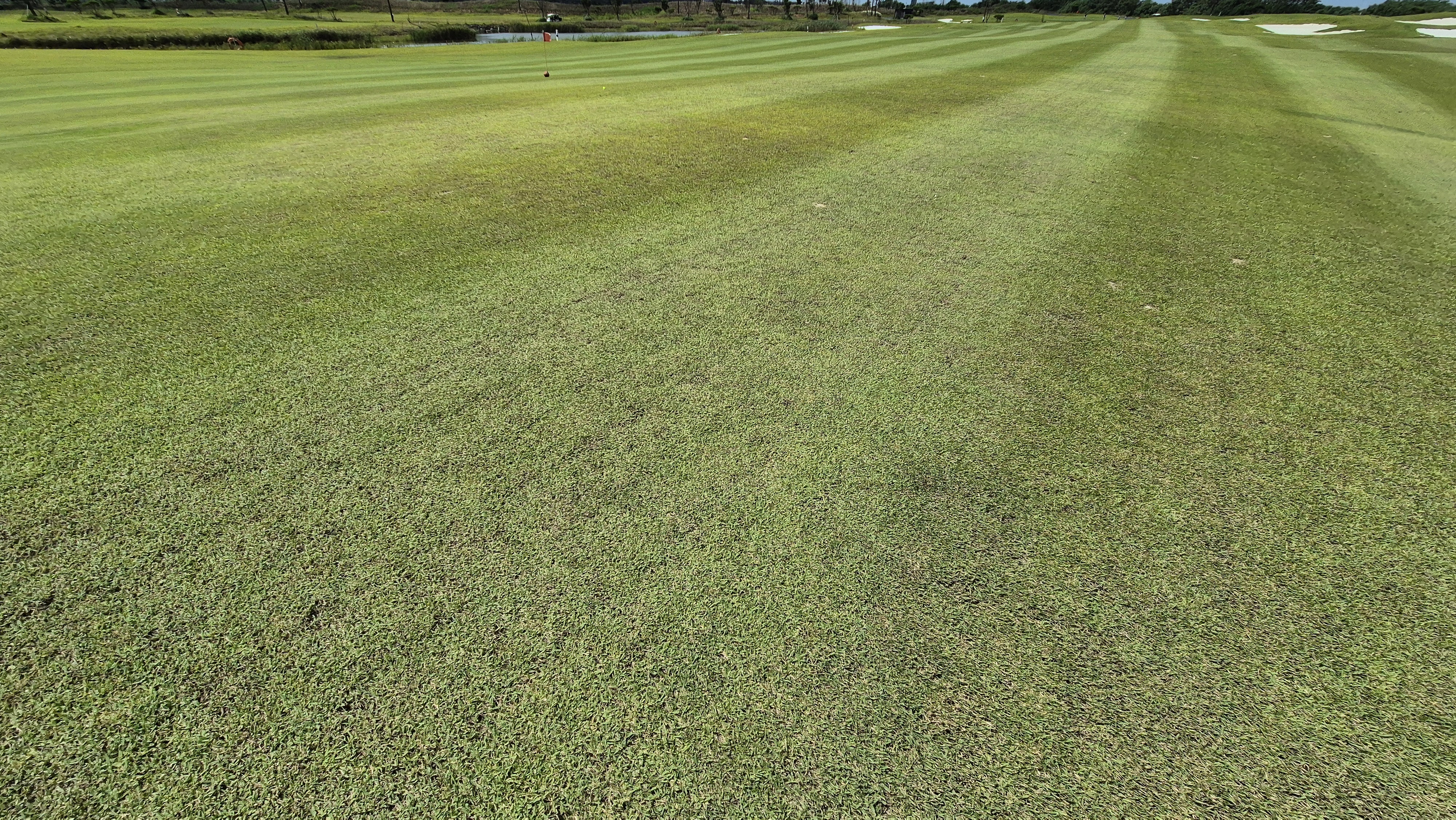 플라밍고cc 듄스-링크스 코스 라운드 후기