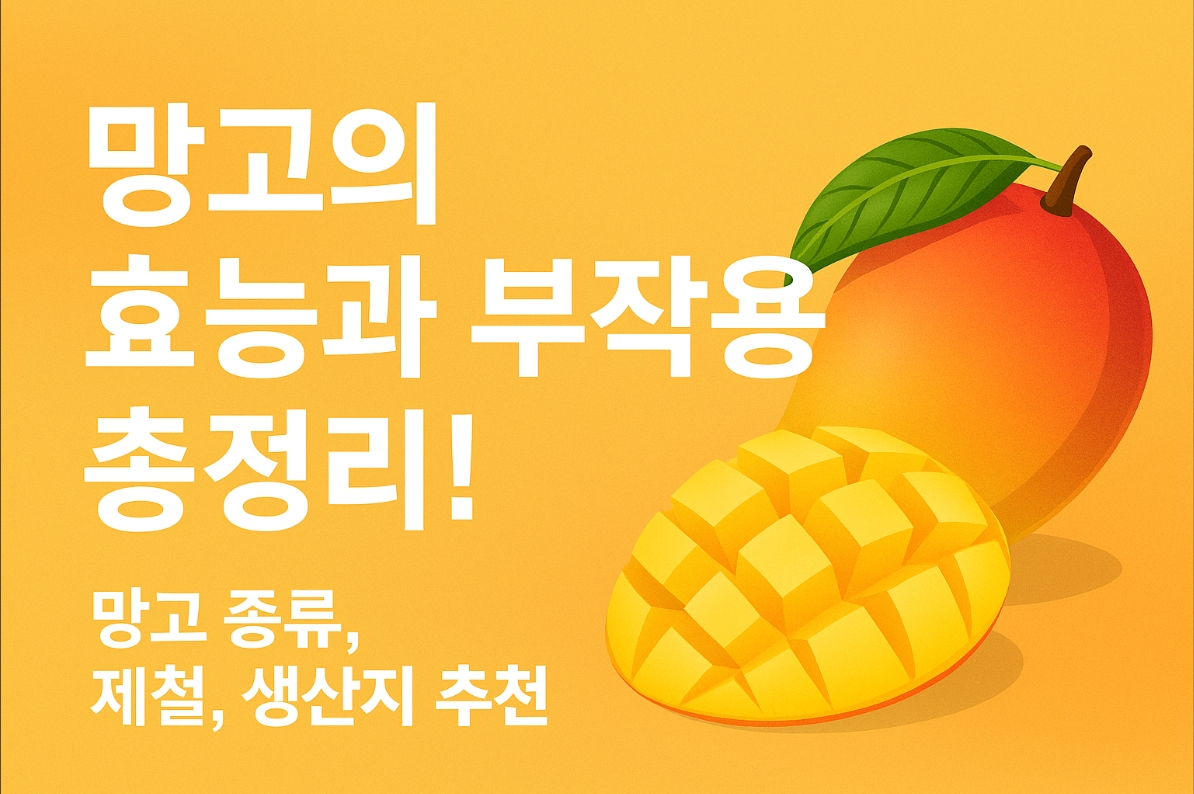 망고 효능과 부작용 제철 망고 고르는법과 종류 비교