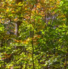 가을 단풍 구경 BEST 5 &mdash; 2025년 놓치면 아쉬울 국내 명소