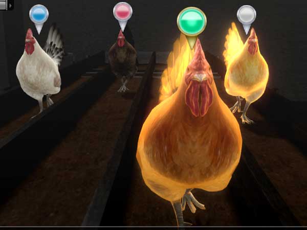 전용 컨텐츠 - 설상 격투기 & 토종닭 컵 클래식 장인 타이틀 이미지