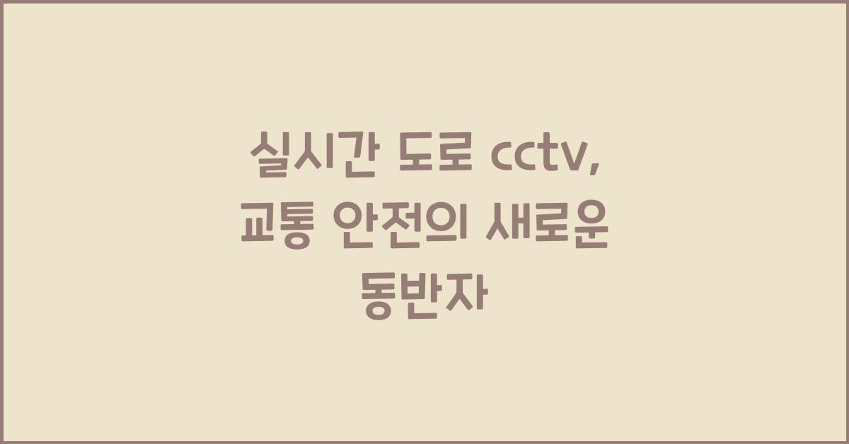 실시간 도로 cctv