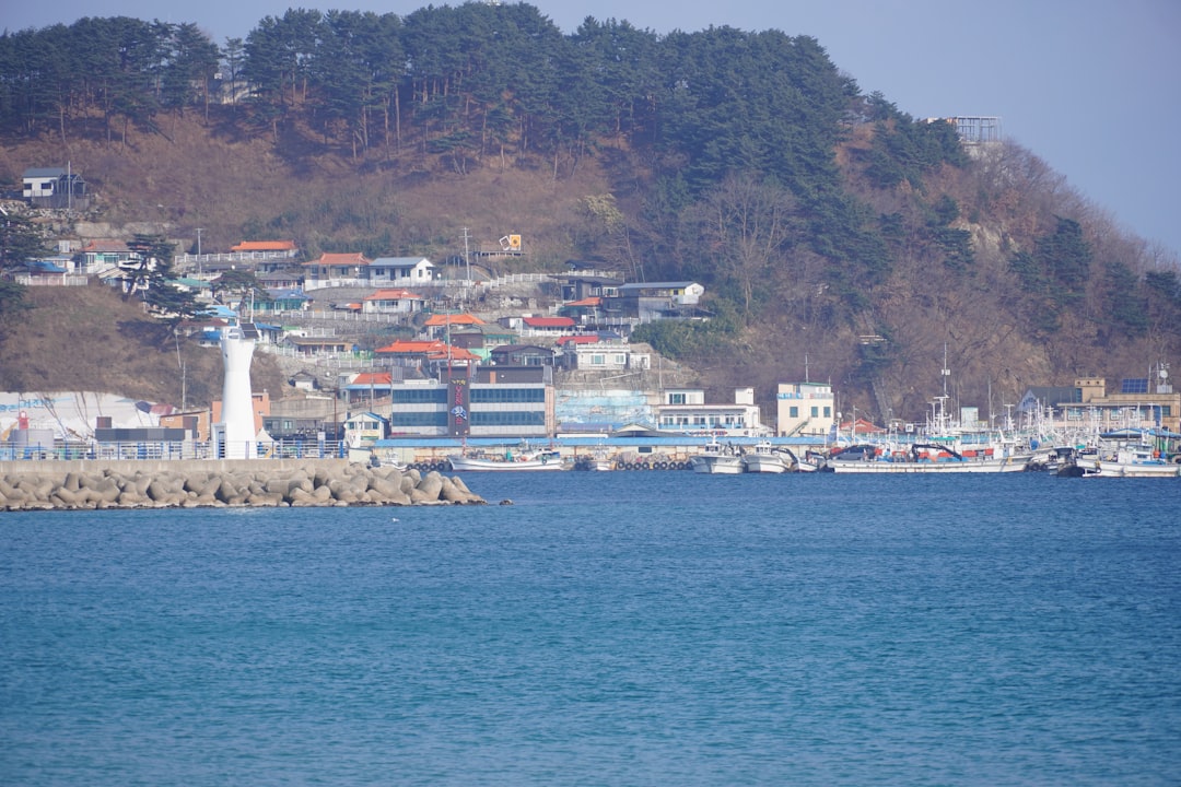 Income. 이 단어는 경기도 농어민 기회소득의 핵심 가치인 '소득'을 가장 직접적으로 표현합니다.