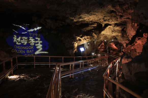 천곡황금박쥐동굴