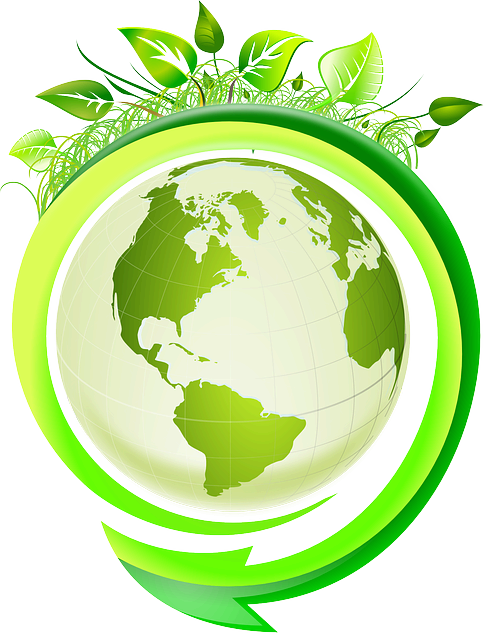 지구 생태계 균형을 위한 환경교육의 중요성