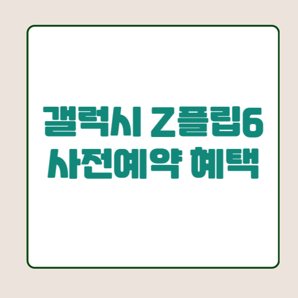 갤럭시 Z플립6 사전예약