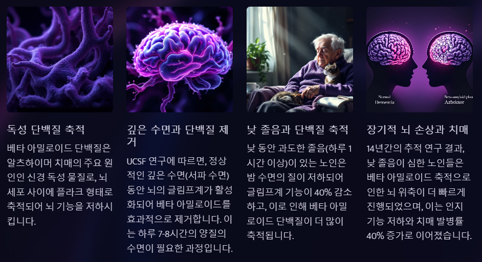 베타 아밀로이드 단백질과 수면의 관계