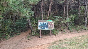 화성_우리꽃식물원_국화전시회