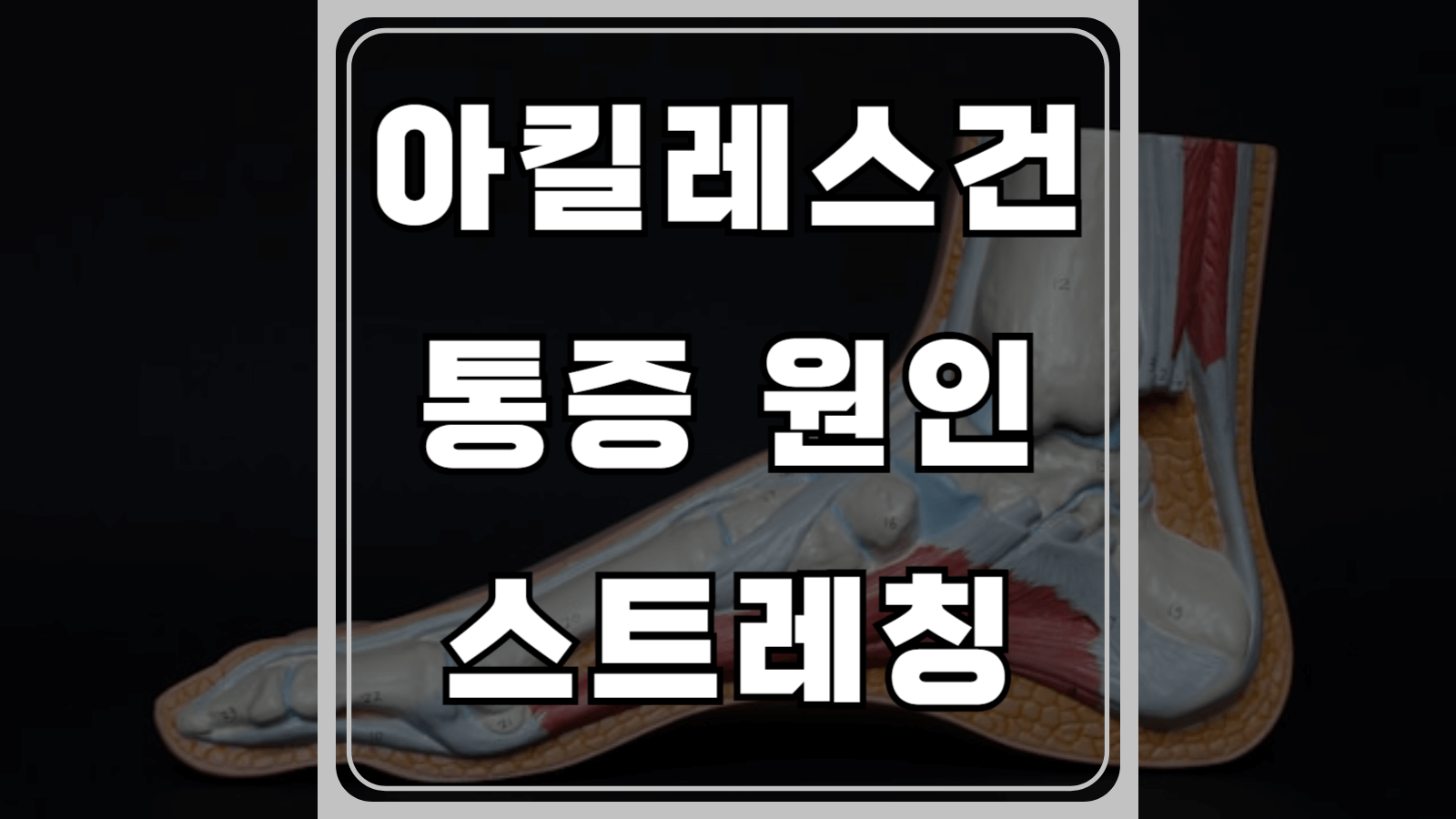 아킬레스건 통증 원인 및 스트레칭