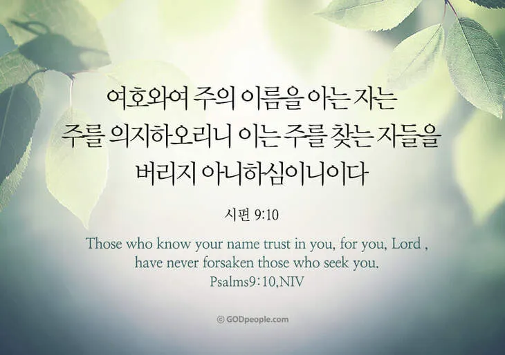 시편 91장 11절 읽기 - 그가 너를 위하여 그의 천사들을 명령하사_1