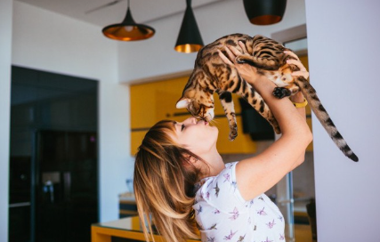 고양이와 키스하는 여자.