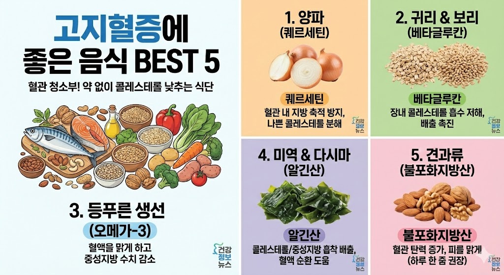 고지혈증에 나쁜 음식 3가지