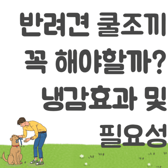 반려견 쿨조끼 꼭 해야할까 냉감효과 및 필요성