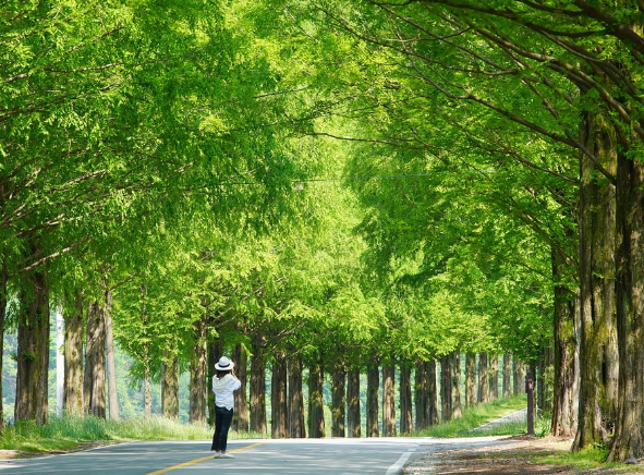 웰니스 뜻, 2025 우수 웰니스 관광지 11곳 선정! 과연 어디?