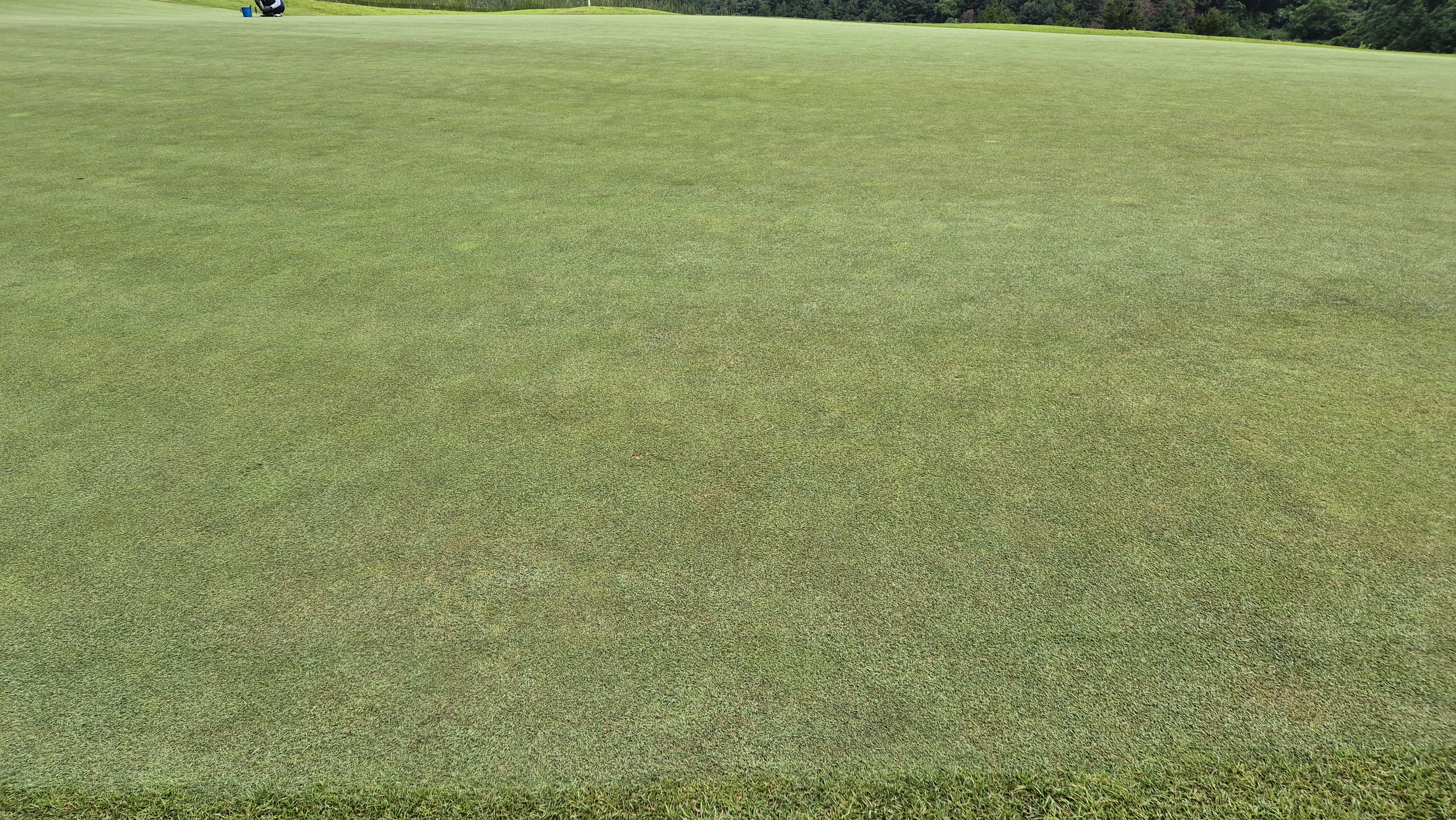 샴발라cc 라운드 후기