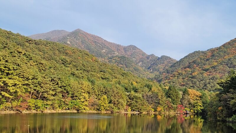 [명품숲길 50선 가을단풍 산행 ⑦] 충북 보은 속리산둘레길 : 말티재&middot;법주사 단풍과 정이품송이 어우러진 가을 명품길