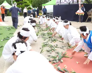 함평 나비축제_16