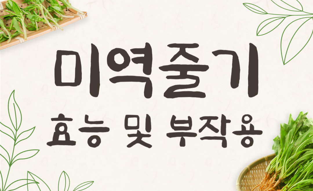 미역줄기 효능과 부작용, 미역국으로 건강 지키는 법