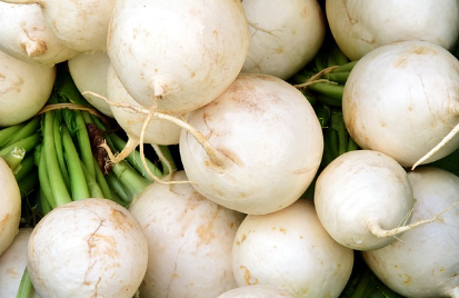 11월 제철 음식과 효능