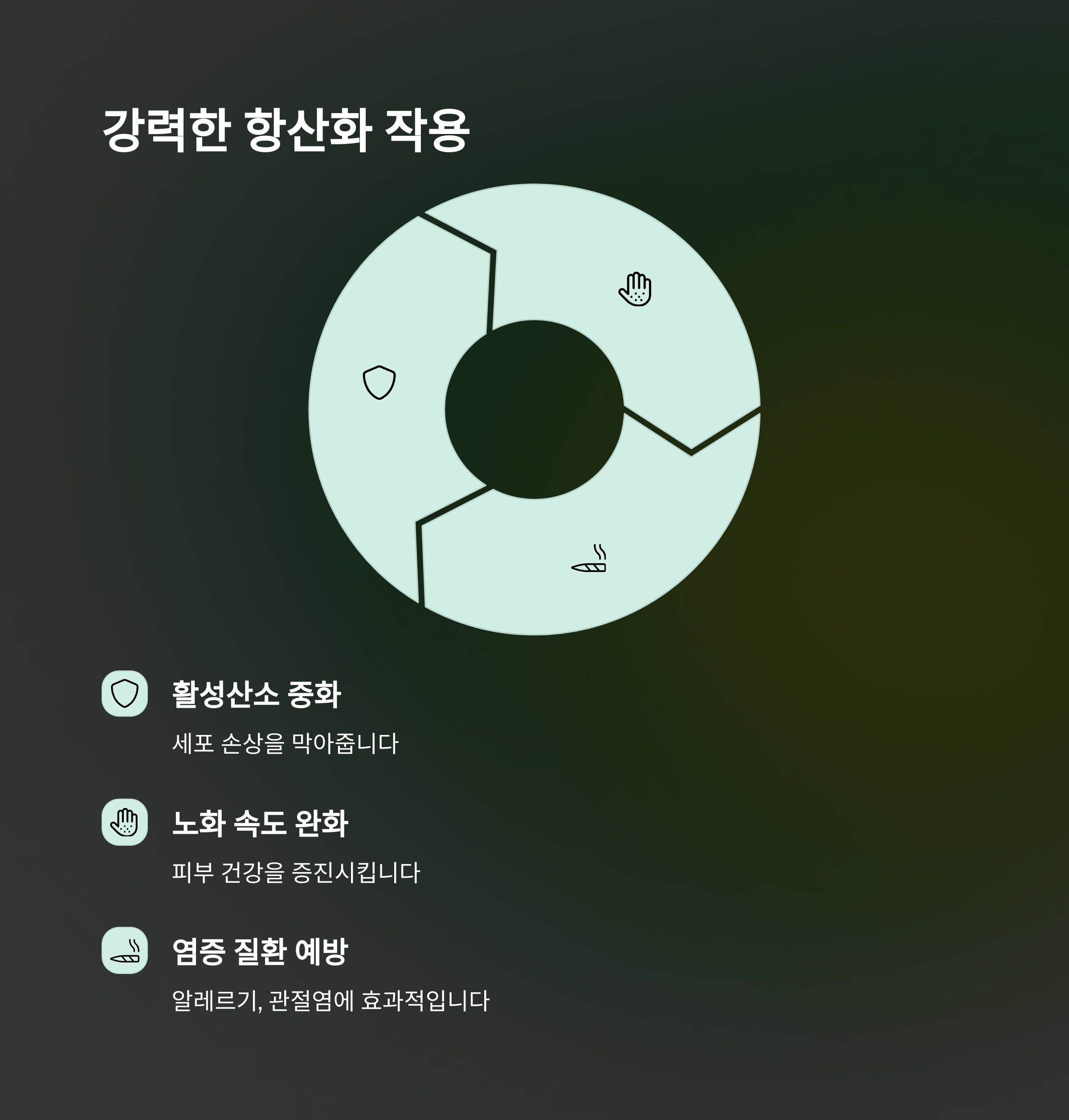 강력한 항산화 작용으로 노화와 염증을 억제