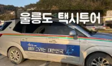 택시/기사 동행 투어