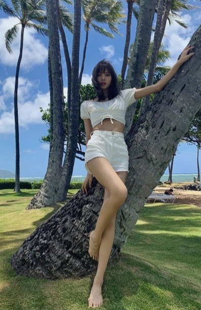 리사 팝업스토어 장소 신곡 락스타 반응