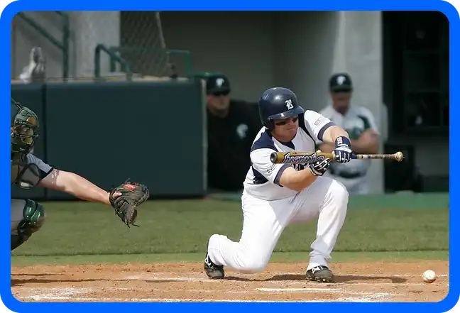 2024 WBSC 프리미어 12 일정표