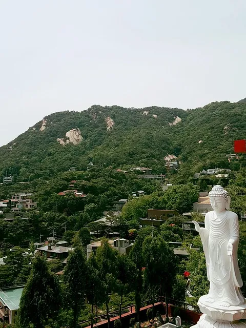 평창 가볼만한곳 베스트10 완벽 자연 여행_6