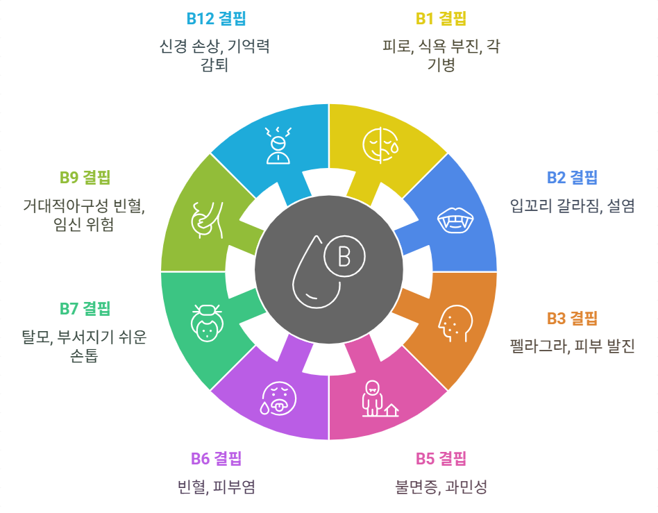 비타민 B 종류별 부족 증상 및 건강 영향
