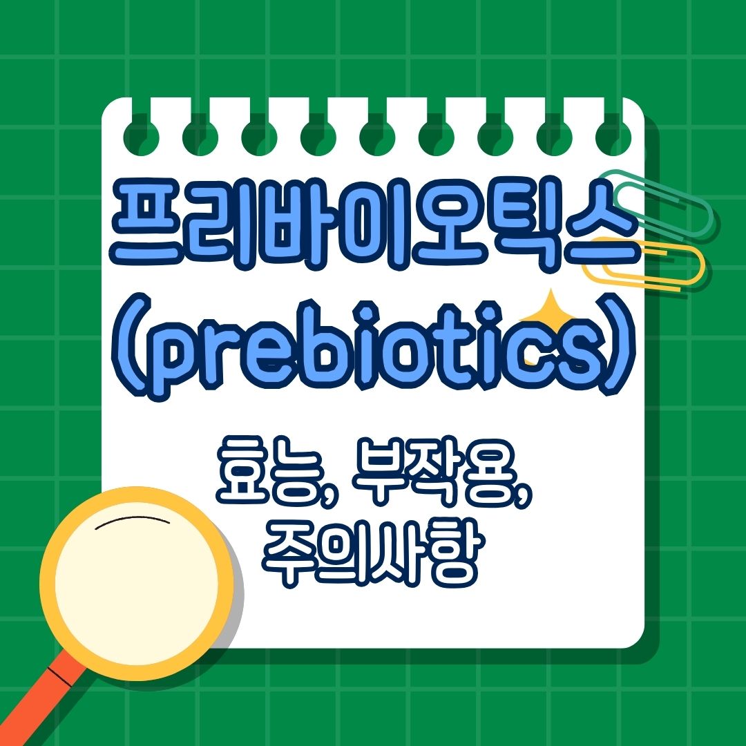 프리바이오틱스(prebiotics) 효능, 부작용, 권장량, 부족 증상, 많이 포함된 음식, 복용법, 함께 섭취하면 안 되는 영양제, 함께 섭취하면 좋은 영양제, 장 건강, 프로바이오틱스 먹이