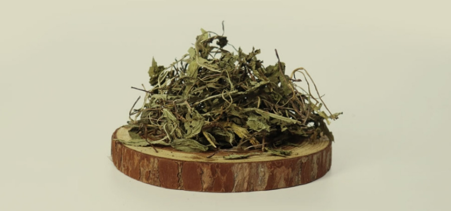 야생에서 채취를 한 민들레 옹근풀, 즉 포공영을 깨끗하게 세척을 한 후에 하얀 바닥 위에 동그란 나무 깔판을 갈고 그 위에 수북하게 놓아두고 찍은 사진