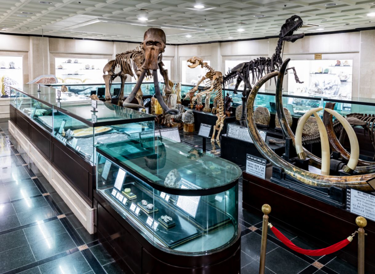 사립 강원종합박물관